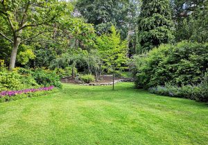 Optimiser l'expérience du jardin à Marcilly-sur-Tille